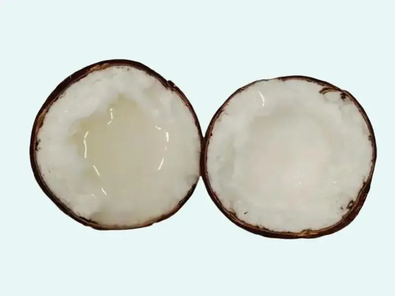 [Combo 2 DỪA SÁP LOẠI 1 - SÁP ĐẶC size nhỏ - MỖI TRÁI TỪ 700g đến dưới 1kg]