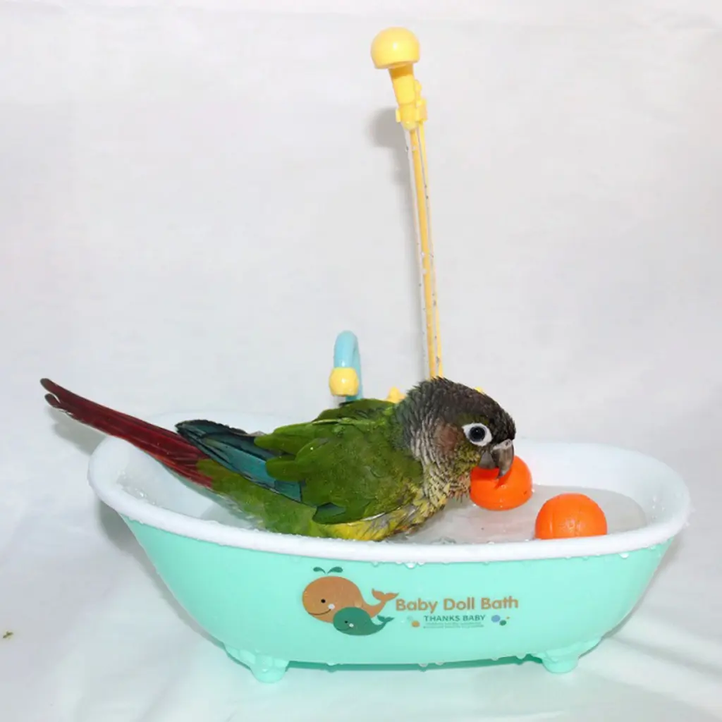 kitesiy Realistic Bath Tub Bath Tub Realistic Parrot Bathtub Toy with Faucet for Bathing for Parakeets Cockatiels Conures Supplies for Fun  Cleanliness