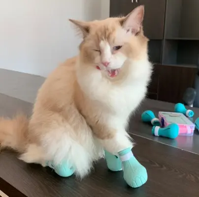 Brongsong Penutup Mulut Hewan Peliharaan Kucing Anti Gigit Astronot Bahan Breathable 7