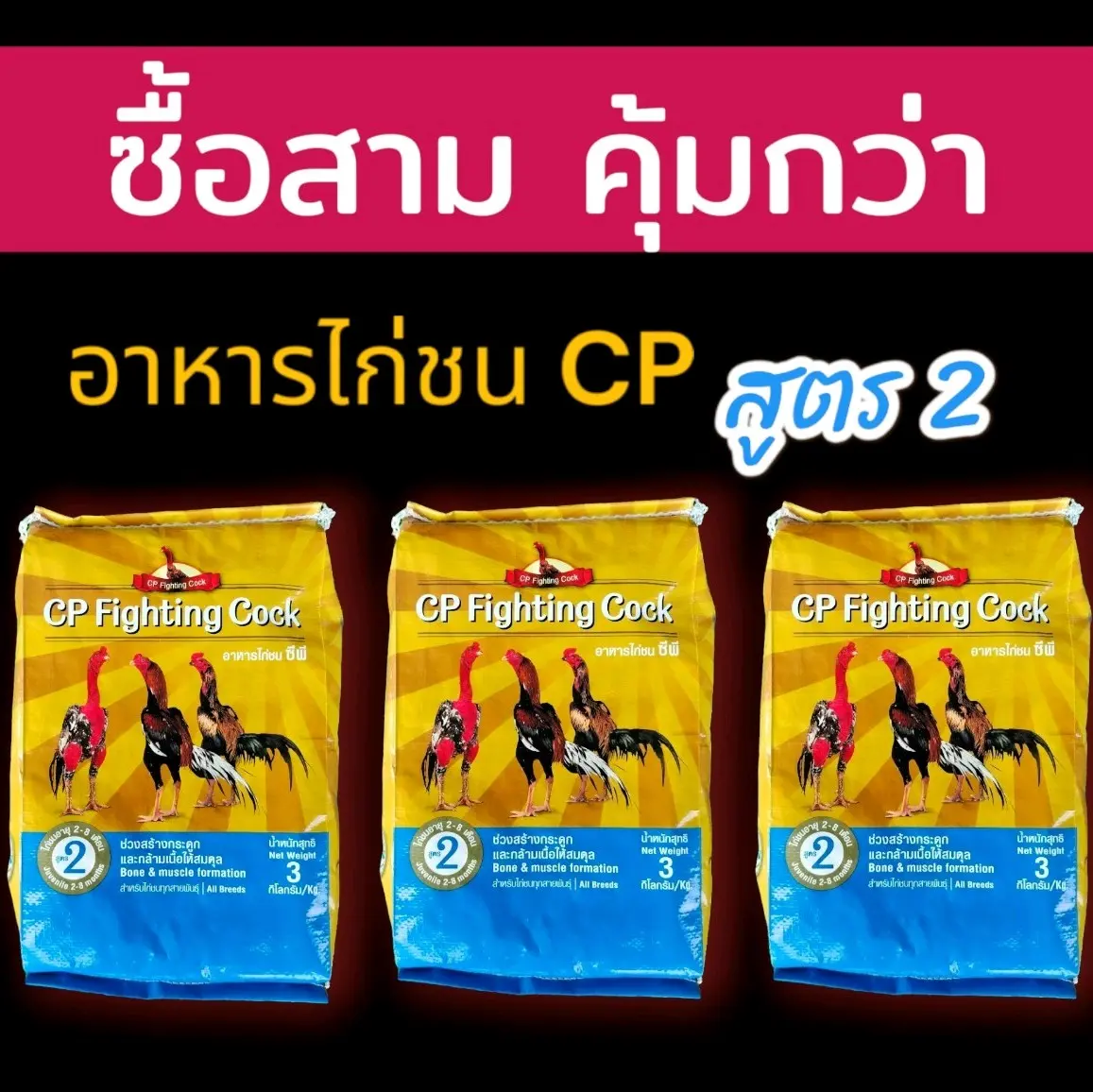 3 ถุง สูตร2 ไก่ชนซีพี อาหารไก่ชนอายุ 2-8 เดือน สำหรับไก่ชนทุกสายพันธุ์