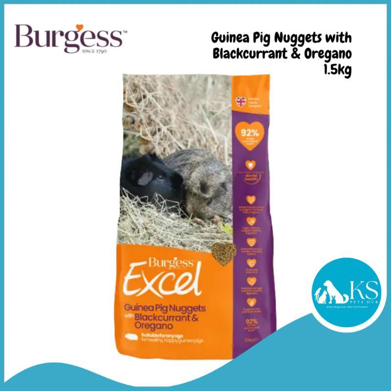Picture of Ori Burgess Excel Guinea Pig Nuggets with Blackcurrant & Oregano ...