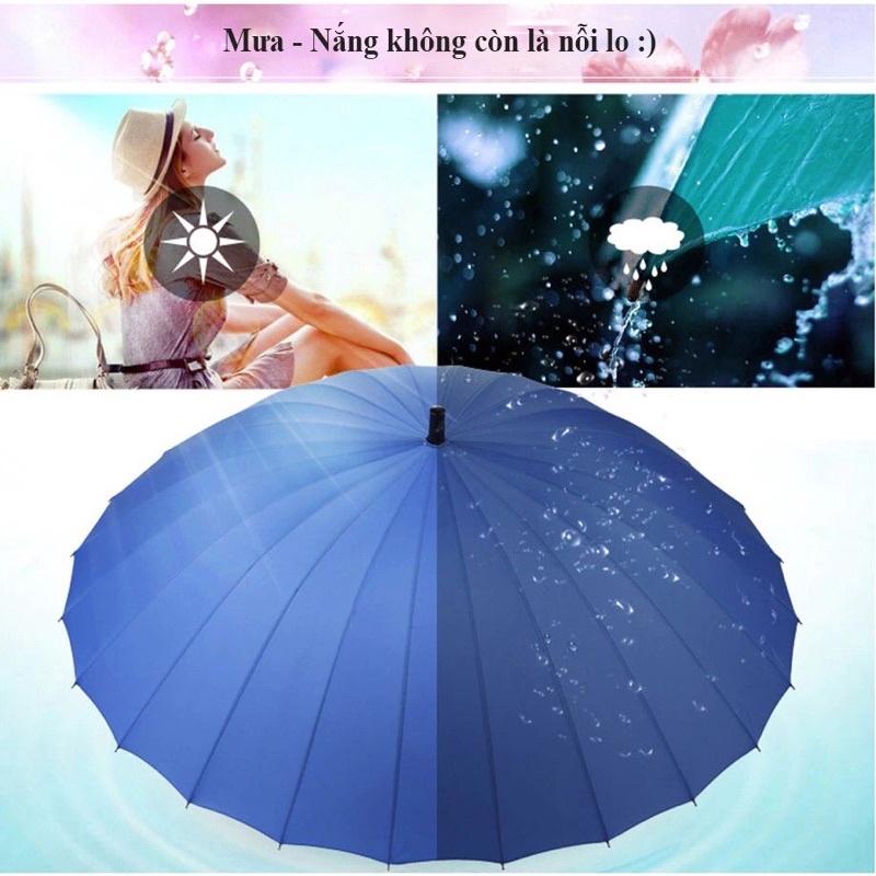  Ô Che Mưa Loại To 24 Nan Cán Dài Chống Lật Dù Che Mưa Dù Đi Mưa Size To Siêu Cứng Cáp Và Chắc Chắn Chống Nước ô  hình ô  hình 