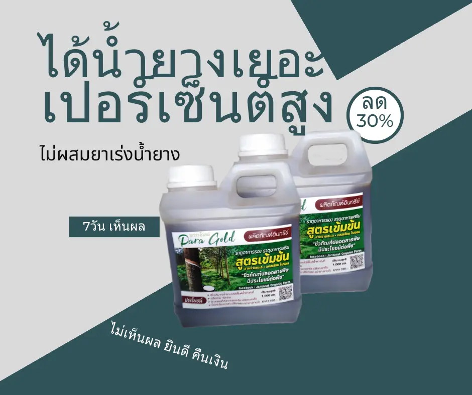 ผลิตภัณฑ์บำรุงหน้ายาง เพิ่มน้ำยาง เปอร์เซนต์น้ำยางดี ป้องกันรักษาหน้ายางตายนึ่ง แพ็คคู่ 2ลิตร
