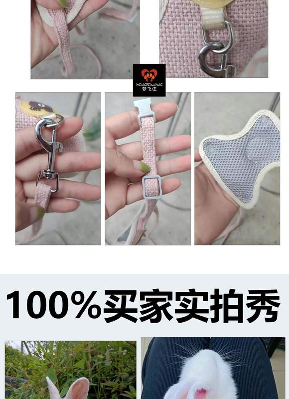 Product Introduction of Rabbit Hand Holding Rope Anti Breaking Loose Rabbit Chain Rabbit Walking Rope Stretchable Adjustable Rabbit Walking Rope Rabbit Supplies Collar 3