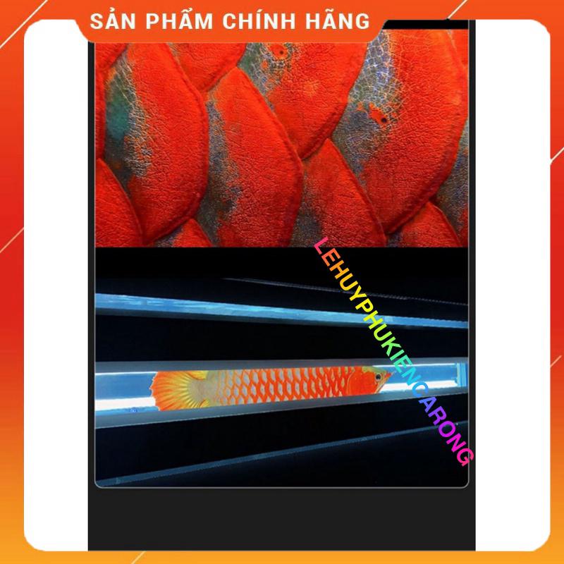 Đèn Tanning MAYIN Cho Cá Rồng Huyết Long Hoặc Kim Long Quá Bối - Máng Đèn 1m5
