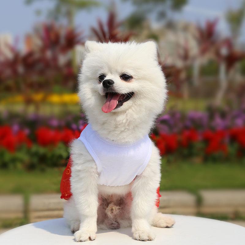 Product Introduction of Supermaid Pet Wedding Dress Dog Clothes Cat Apparel Princess Bridal Gown Spring Summer Photo Shoot Accessories 12