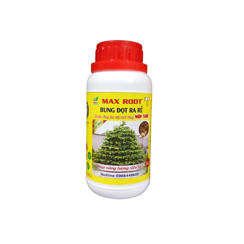 Phân bón cho mai - bung đọt ra rễ mai, phục hồi cây suy, cây mai sau tết, cây mai con, nhú đọt mạnh, lá xanh dày (chai 250ml)