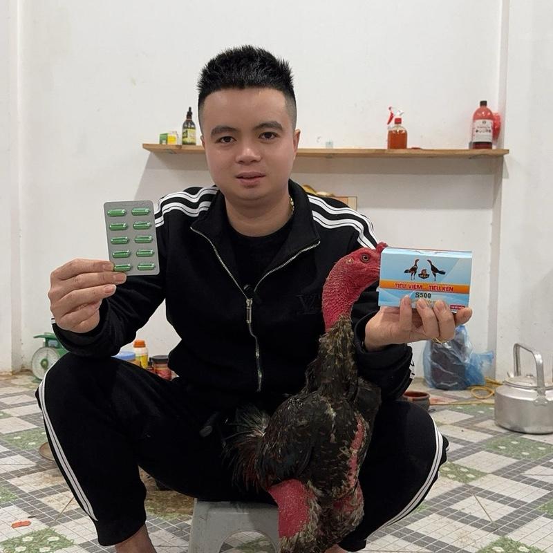 SEKO ( Khải Mê Linh ) Vỉ tiêu viêm tiêu kén S500 SEKO bảo vệ chiến kê dùng cho gà chọi