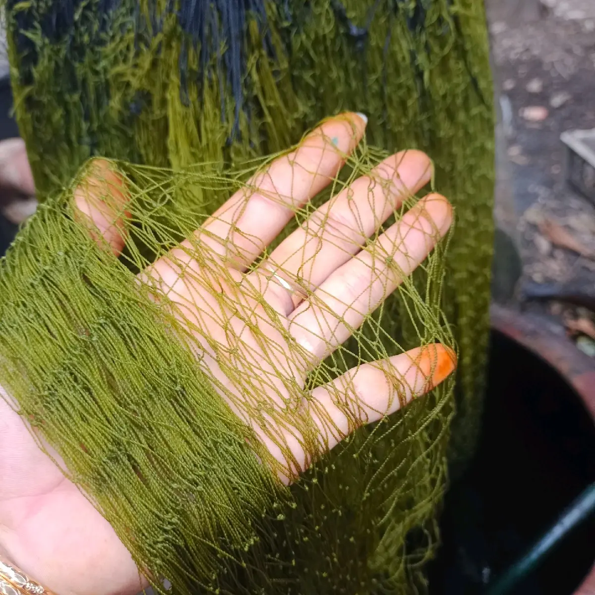 10m lưới bẫy rắn màu cỏ, mắt 4phân ( bắt từ 0,3 lạng đến 2kí )