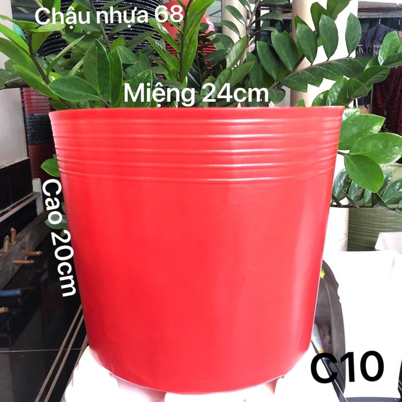 50 cái chậu nhựa trồng cây C10 màu đỏ loại dày dặn 24x20