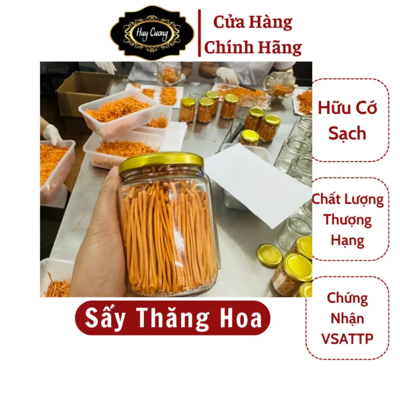 Đông trùng hạ thảo Huy Cương sấy thăng hoa loại 1 víp lọ 10g