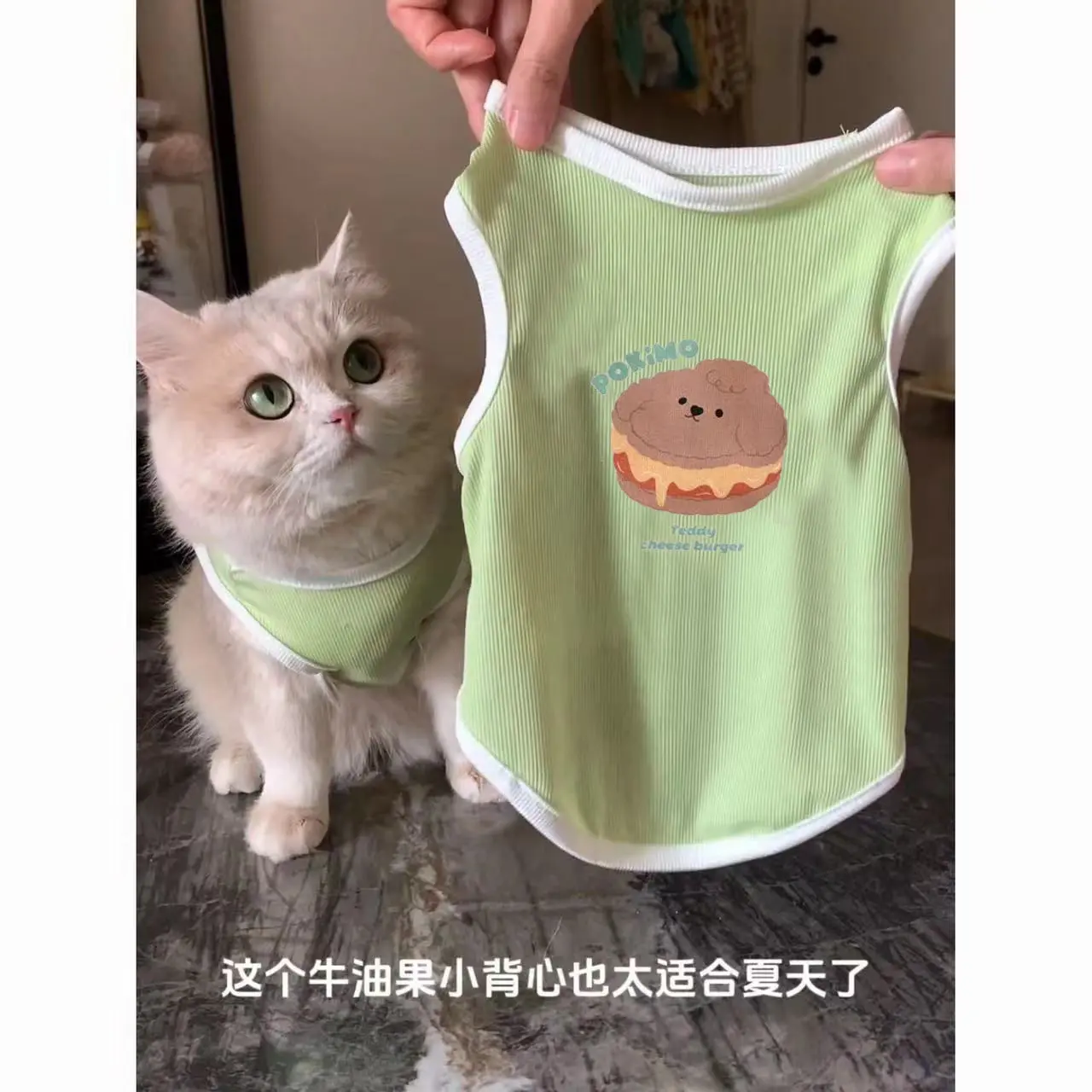 Cat and Dog Clothes Spring and Summer Pet Cat Silver Gradient Blue Cat Anti-Shedding Breathable Cute Cool Ice Silk Vest