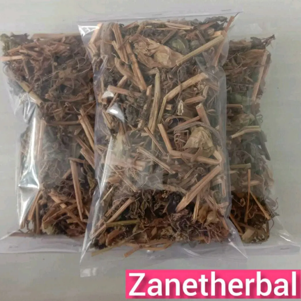 Daun ciplukan kering 100 gram