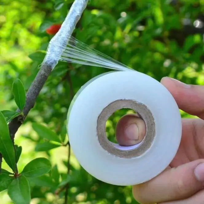 băng ghép cây tự huỷ bản 3cm và 5cm dài 200m 0