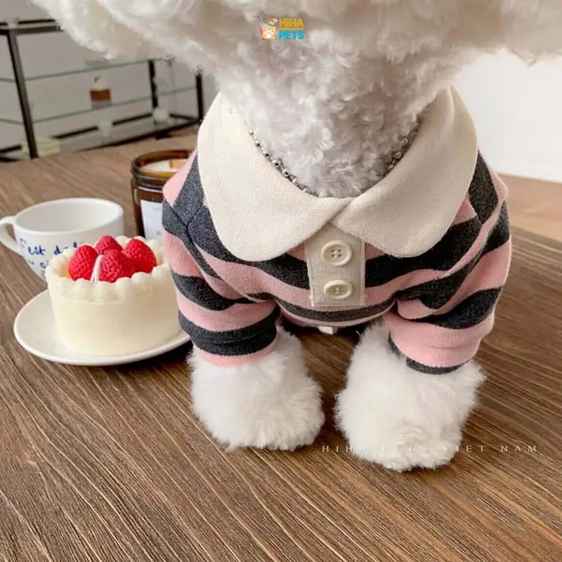 Áo Thun Sọc Cổ Thỏ Cotton Dễ Thương Cho Chó Mèo Mặc Quần Áo Cho Thú Cưng Cao Cấp Hàn Quốc Hiha Pets. 6
