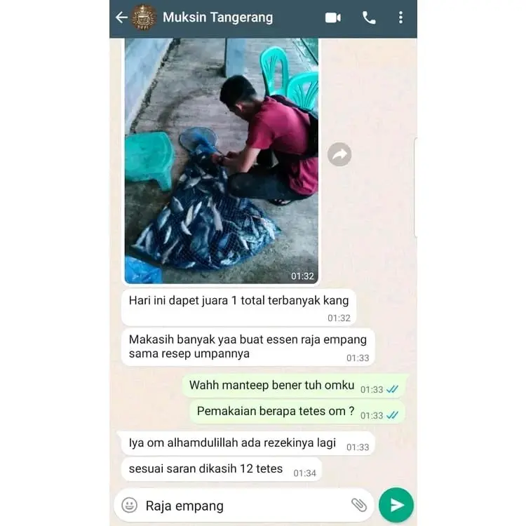Essen RAJA EMPANG ikan mas Paling Gacor 3