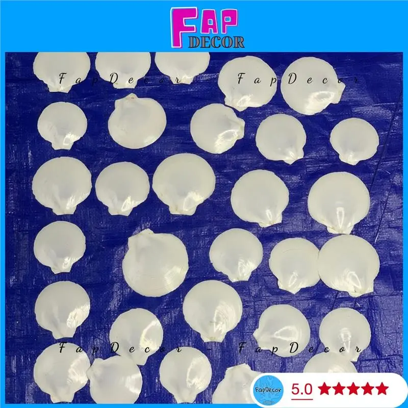 {Ricky toy} {DEAL 1K} Vỏ Sò Điệp xà cừ làm đồ handmade, trang trí phong cách vùng biển, cho bé học tạo hình Diy Charm