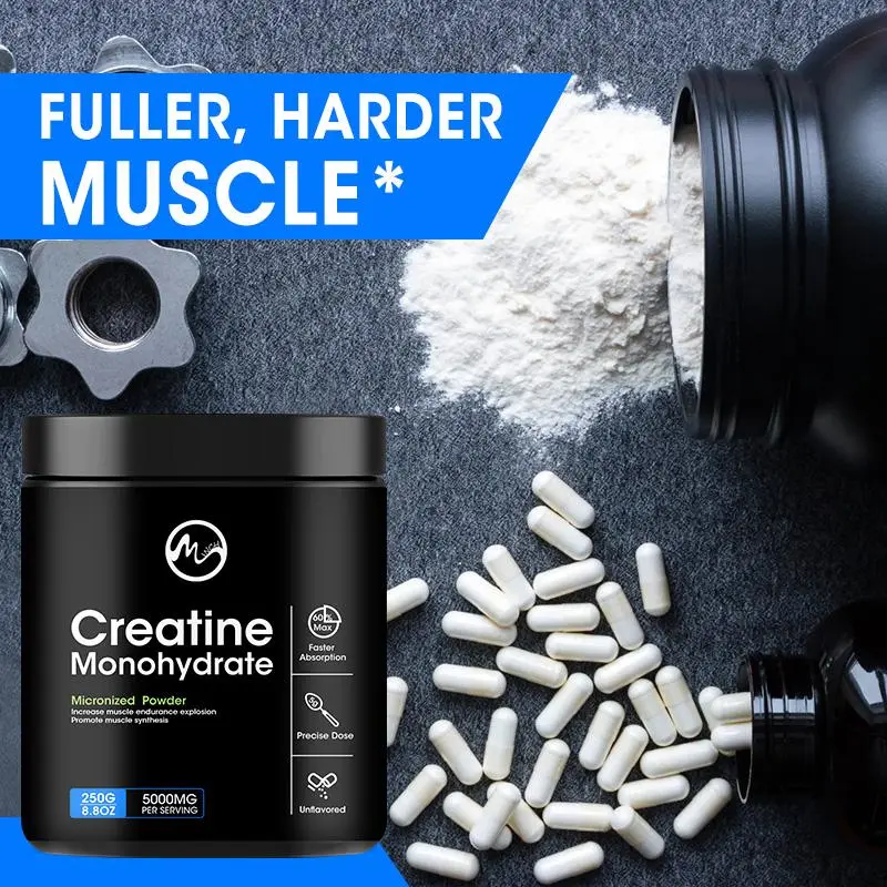 Creatine Monohydrate Powder Workout Supplement Improving Muscle Mass ...