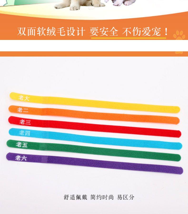 Product Introduction of Vòng Cổ Phân Loại Thú Cưng, Hàng Mới Về Năm 2025, Dành Cho Mèo Con Và Chó Con, Vòng Cổ Nhận Dạng, Thích Hợp Cho Chó Con Và Mèo Sơ Sinh, Vòng Cổ Thứ Tự Sinh, Thích Hợp Cho Chó Sữa 2