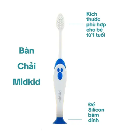 Midkid - Bàn Chải Đánh Răng Cho Bé Vệ Sinh Răng Miệng Phù Hợp Cho Bé Từ 1 Tuổi 2