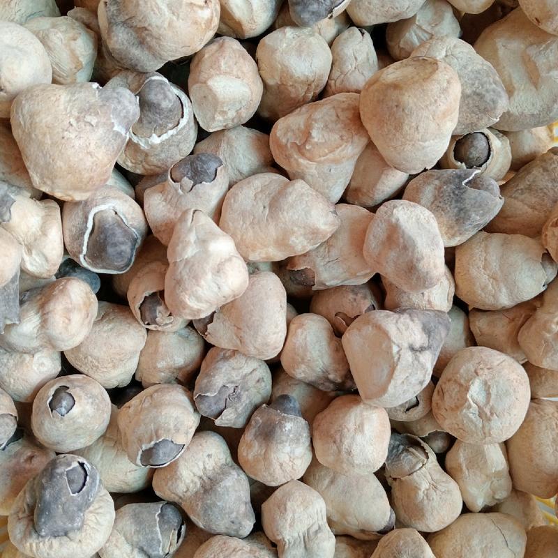 100g Nấm Rơm Mecco Sấy Thăng Hoa 4