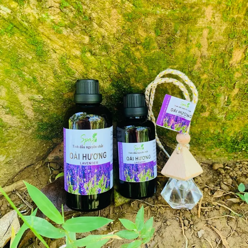 Tinh Dầu Oải Hương Nguyên Chất SPA 100ML - 50ML ( Tặng vở lọ treo xe ) 4