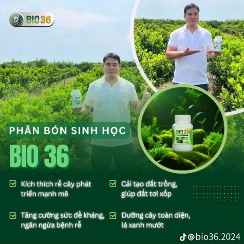 Mua 3 tặng 1 Bio 36 500g siêu kích rễ đi đọt nhanh, tăng năng suất, Bio36 khỏe cây dày lá, phục hồi cây sau thu hoạch 2