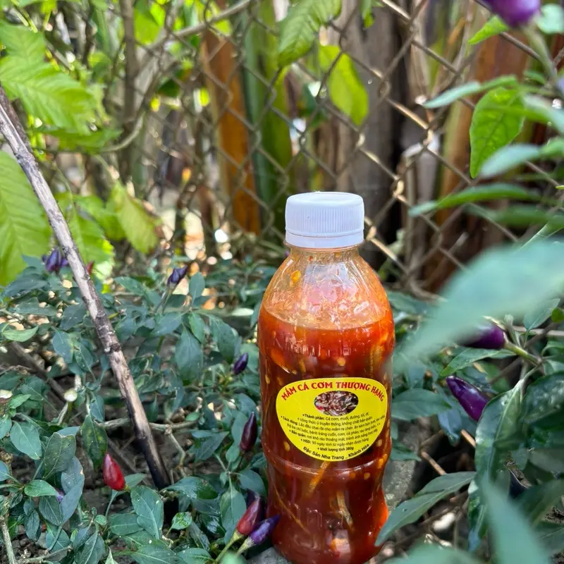6 Chai Mắm Nêm Cá Cơm Thượng Hạng Đặc Sản Nha Trang Khánh Hòa, 1 Chai 380gram, Nước Sốt Gia Vị, ít Cay, Không  Chua 3