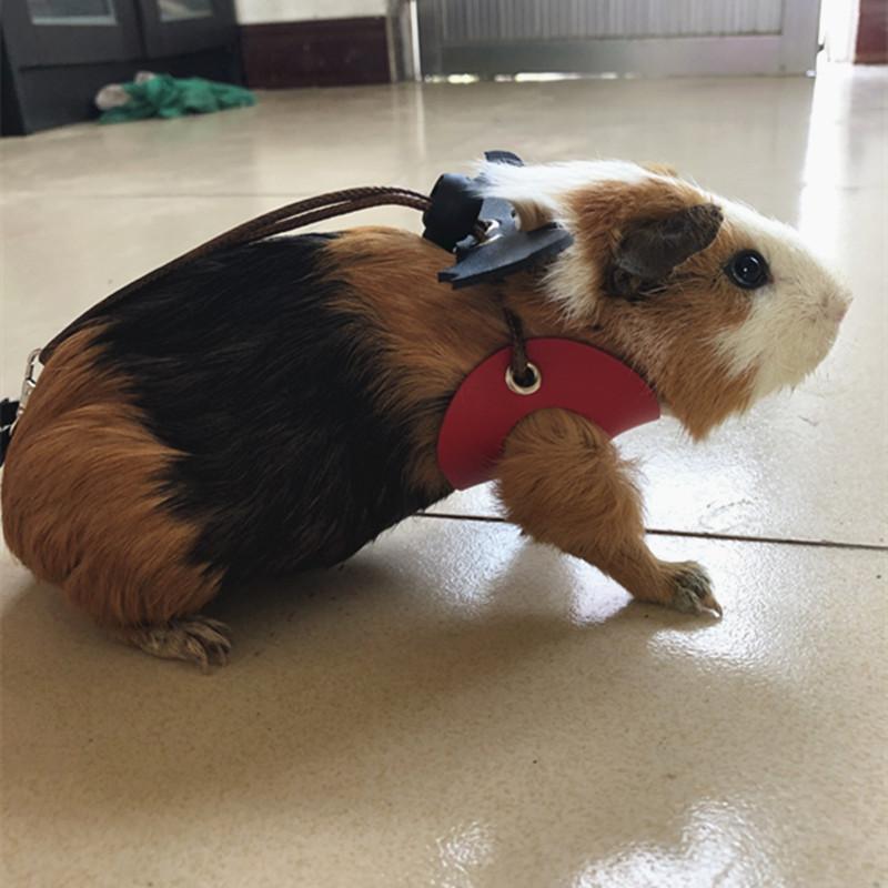 Product Introduction of 2025 Reptile Pet Lizard Leash with Wings Squirrel Harness Chinchilla Leash Green Gecko Lizard Guinea Pig Outdoor Leash 1