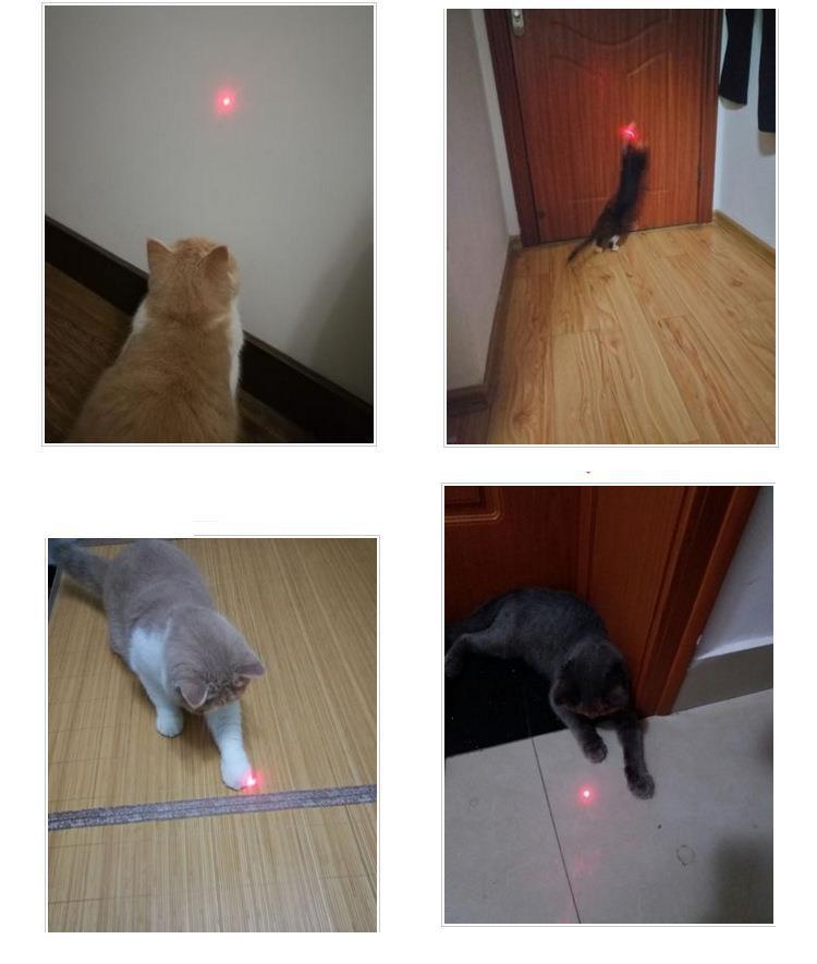 Product Introduction of Cat Toy 2-in-1 Red Laser Teaser Wand Toy 8
