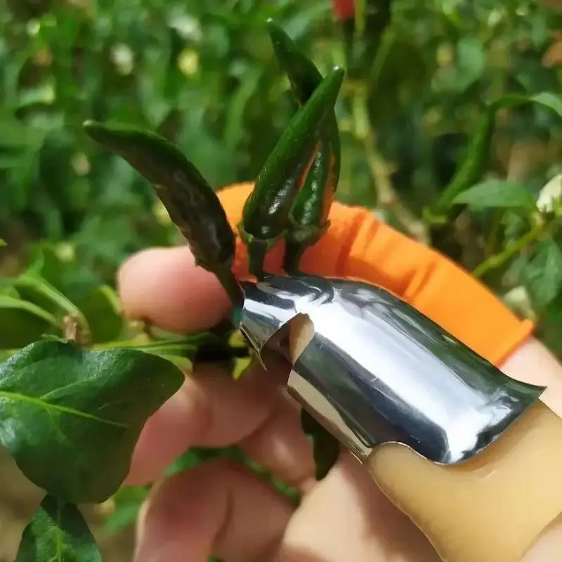 Thumb Knife Set for Fruit & Vegetable Picking, 4 Counts Portable Garden Tool for BBQs & Outdoor Cooking, Kitchen Utensils & Gadgets 6