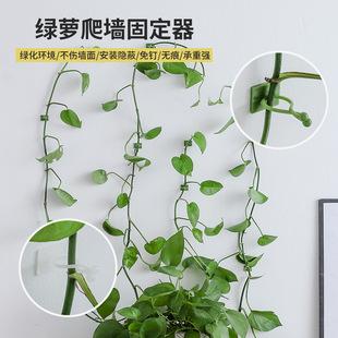 Product Introduction of Punch-Free Bathroom Shoe Rack Simple Slipper Hook Bathroom Drain Rack Wall-Mounted Wall Mounted Storage Rack Genuine Goods 11