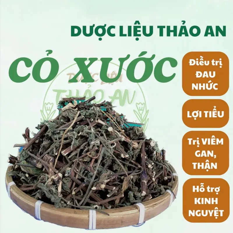 1 kg cây CỎ XƯỚC khô (mới, đẹp, loại 1) - cơ sở dượċ liệu Thảo An 0