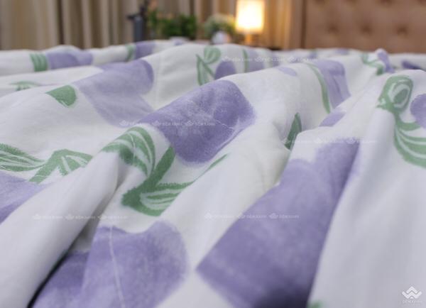 Product Introduction of Chăn hè xơ đậu nành 12