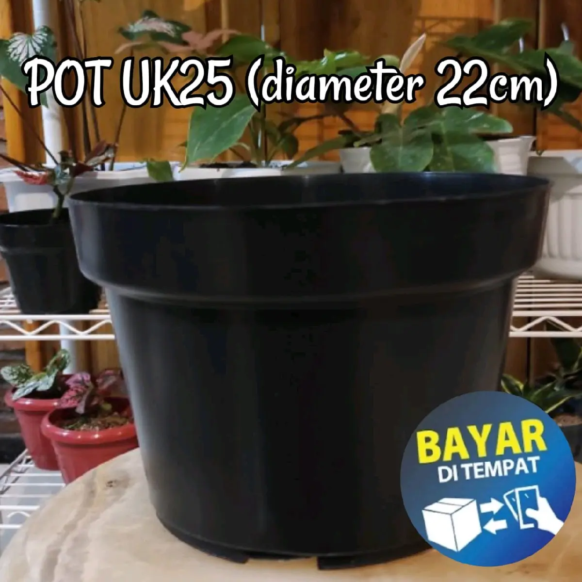 Pot bunga uk25 (diameter 22 cm)