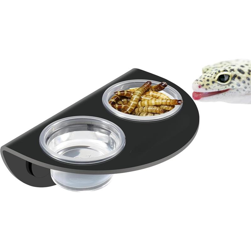 Gecko feeding dish hotsell