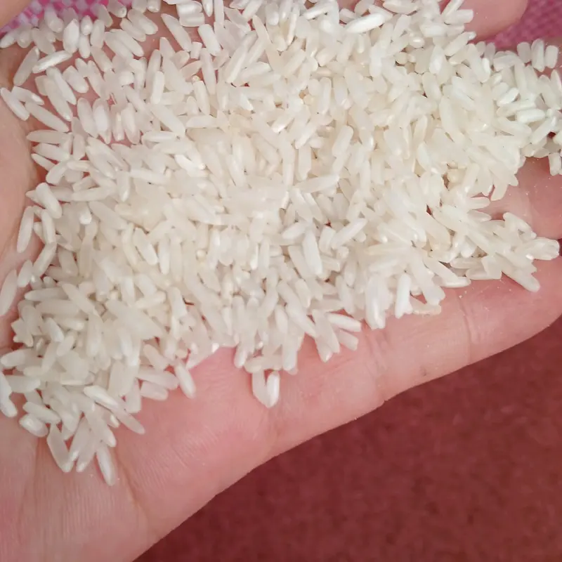 10 Kg Gạo Thơm Lài Dẻo Thơm food Thức Ăn 0