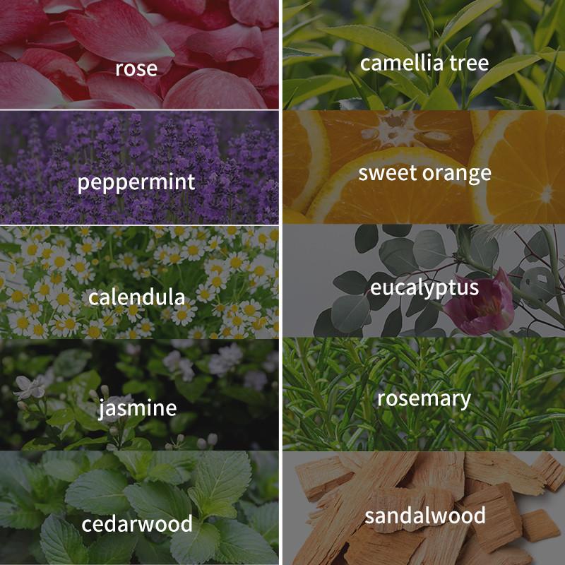 Buy 1 Delivery 2, Cross-Border Rose Single Square Organic Essence Oil 10ml Aromatherapy Aromatherapy Purification Soothing Beauty Salon Massage Single Square Essential Oil Healthcare Solution 1
