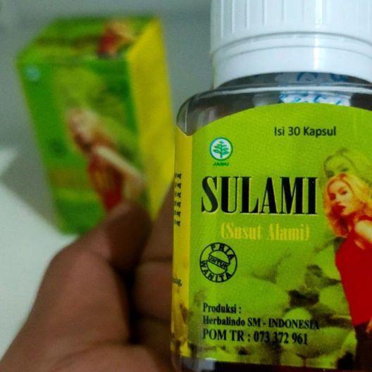 BEST SELLER SULAMI KEMASAN KOTAK DAN BOTOL