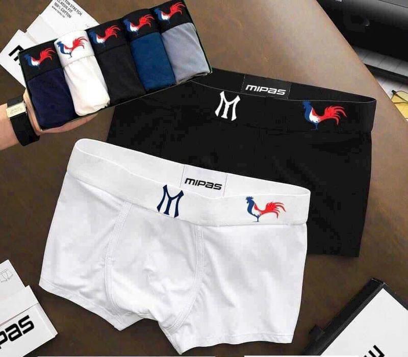 Combo 5 Quần Boxer Cạp Chữ MIPAS Thun Lạnh cho Nam - Sịp, Menswear quanxi nam