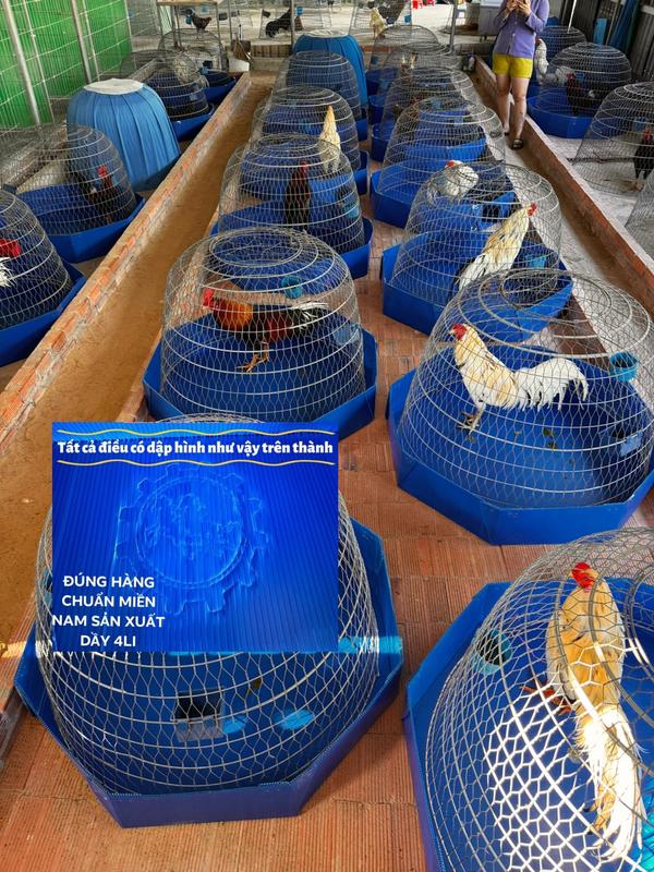 Khay nhựa tròn ,vuông 1mv ,80V,60V khay nhựa chuồng gà khay nhựa lót lòng gà khay nhựa đung phân gà ,khay nhựa cho gà khay nhựa 1M 4LI CAO 2 TẤT hàng miền nam móc treo lồng chim lồng & phụ kiện lồng & phụ kiện thép