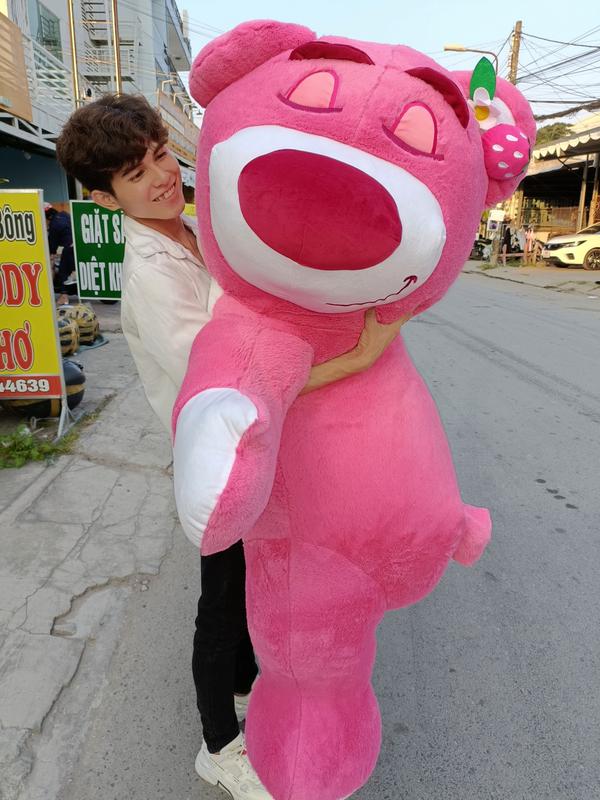 Gấu Bông Gấu Dâu Size To 1M6 - Thú Nhồi Bông - Thú Bông