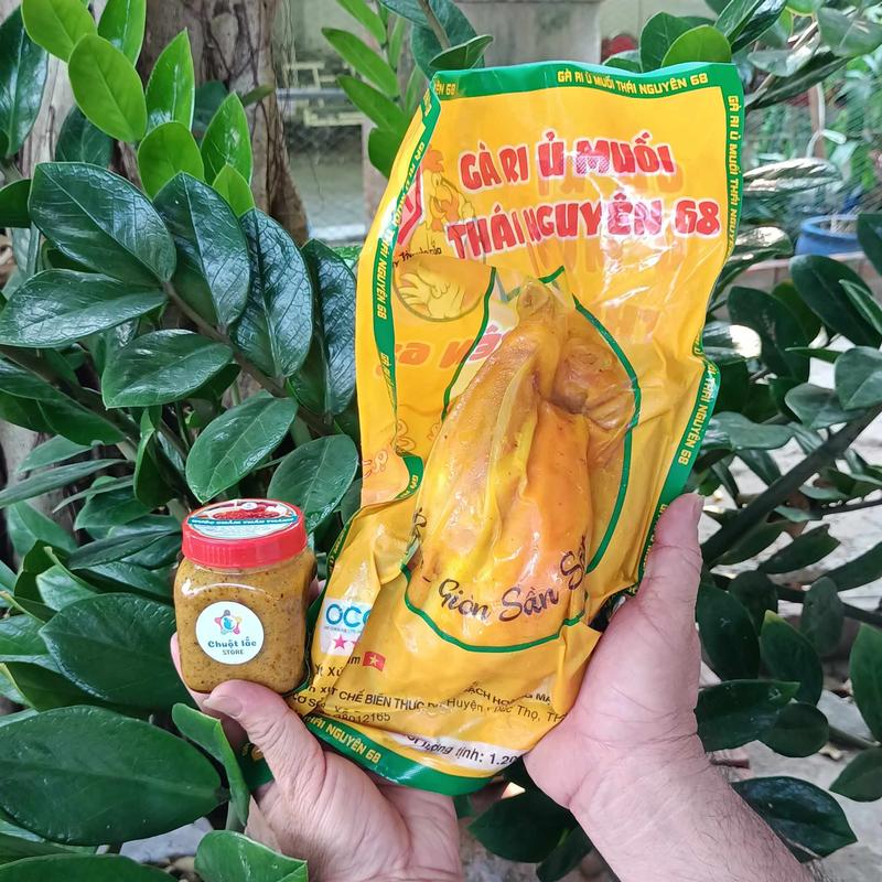 Đặc Sản Gà Ri Ủ Muối Nguyên Con Thái Nguyên Tặng Kèm Hủ Nước Chấm Thần Thánh Chỉ Giao Miền Nam