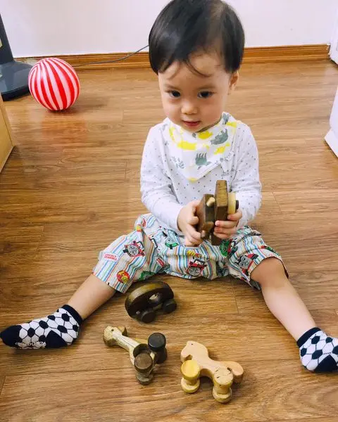Thú Gỗ Động Vật Đồ Chơi Gỗ Cho Bé, 4 Bánh Xe Di Chuyển, Chất Liệu Gỗ Tự Nhiên Cao Cấp - Đồ Chơi Chàng Trai Gỗ 2