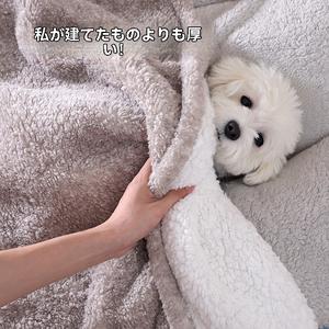 BabyWoof  Pet Cushion Kennel Winter Sleeping Pad Warm Thickened Blanket Dog Quilt Teddy Dog Cushion Flannel Soft and Comfortable