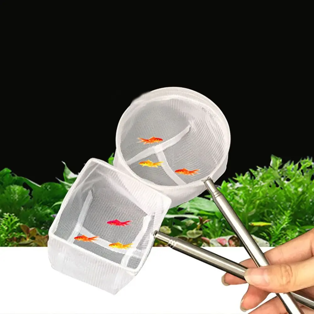 High Quality Long Handle Goldfish Net White Telescopic Telescopic Shrimp Net Extendable Fish Nets