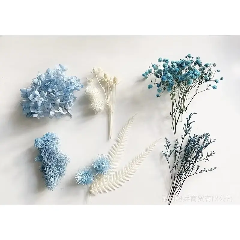 Hoa khô nhiều mẫu mới về dùng làm handmade, khung tranh, nến, sáp thơm, resin, trang trí. Kawaii - Thế giới hoa khô 3
