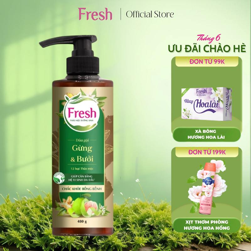 Dầu Gội Fresh Thảo Mộc Dưỡng Sinh - Chắc Khoẻ Bồng Bềnh Với Chiết Xuất Gừng Và Tinh Dầu Bưởi 480g