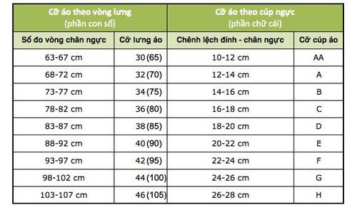 Product Introduction of MÃ 252 - Áo Lót Bigsize Có gọng kg mút quả to C Siêu Đẹp Bra Nhung Ren 0
