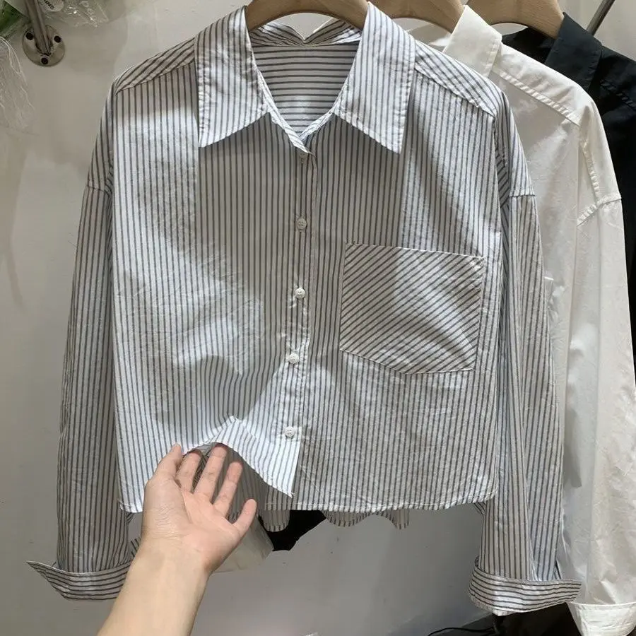 Laid-Back Shirt Women's Design Sense Niche Loose Crop Top Autumn New Korean Style Long Sleeve Striped Shirt